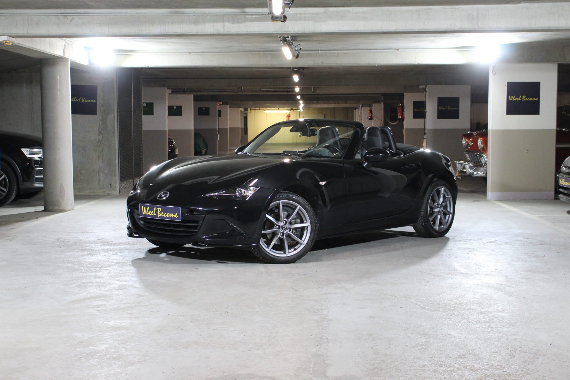 MX-5